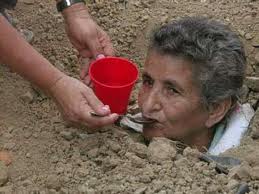 "As soon as your Mother-in-Law Plant begins to sprout in the garden, it is crucial to rid the surrounding area of weeds and pests. Aphids, hornworms, and even raccoons will be eager to have a nibble at the softer parts of this delicious perennial, so it might be a good idea to spray her regularly in the face with harsh pesticides and surround the cultivated plot with protective mesh. These often critical, cantankerous plants tend to thrive when the responsible gardener takes time for hand-feeding. Soft materials like oatmeal, cottage cheese and peanut butter have been known to work wonders. Some growers have even had success with moist cat-food that can be obtained from any grocery store. If your Mother-in-Law Plant happens to be one of the rare Appalachian varietals, a little bit of chewing tobacco once or twice a week will go a long way toward producing vibrant blossoms! One of the best things about these fabulous vegetables is that they will let you know when they are ready to be harvested. Listen closely in early October and you'll hear them complaining incessantly about the morning chill. Once that happens, it is time to get the kitchen ready for a feast! Simply rip your Mother-in-Law Plant from the fertile earth by grabbing her hair and employing a few, violent shaking movements. The roots should come right up without a problem. These plants tend to make a strange whimpering sound when on the cutting-board, but pay no attention to that as you prepare your memorable meal. Some people like to soften their well-chopped pieces in an all-day crock pot, but I like to serve my guests a fricassee of Mother-in-Law Plant and chanterelle mushrooms seasoned with a bit of fresh thyme. A dry Riesling pairs nicely with this late-harvest delicacy and you can be sure that your friends will be raving for days about your culinary abilities. They may even pester you for tips about how to raise their own Mother-in-Law Plants. Be sure to tell them you learned it all from me! Until next time, from the garden, I'm Allen Smith!"