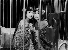 "Please! We're not meant to be eaten! We're fairy princesses from Infant Island. Some nearsighted poacher from Tokyo bagged us by mistake while we were bathing in a coconut. There's been a terrible mix-up. PLEASE set us free!"  